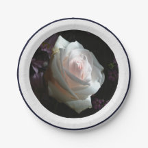 Den vita rosen -