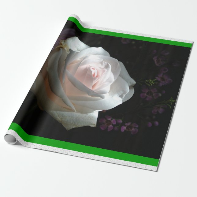Den vita rosen - presentpapper (Utrullad)