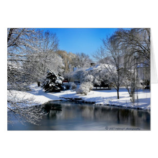 Den vita världen talar utan ljud.. hälsningskort