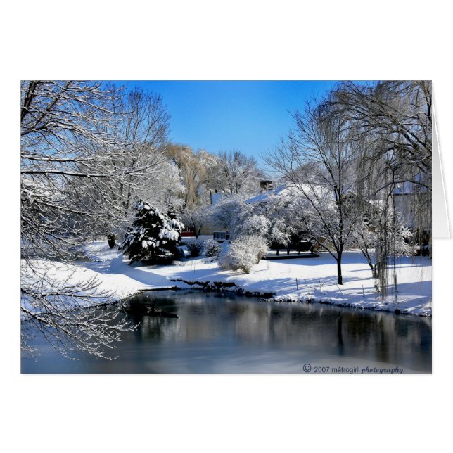 Den vita världen talar utan ljud.. hälsningskort (Framsidan Horizontal)