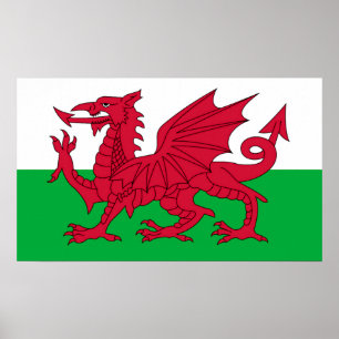 Den walesiska flagga poster