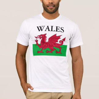 Den WALESISKA flagga Tee Shirt