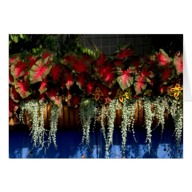 Den Wegerzyn trädgården centrerar #34 Hälsningskort (Framsidan Horizontal)