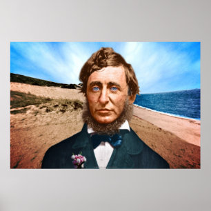 Den Wellfleet penmanen Poster
