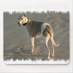 Den Whippet musen vadderar Musmatta