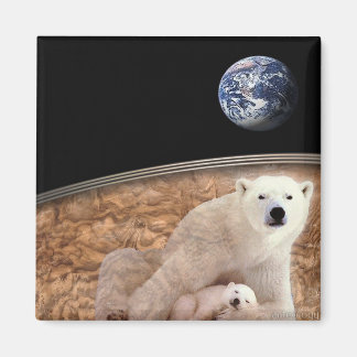 DEN WONDERFULLA POLARNA BAR MAGNET