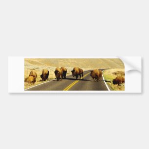 Den Yellowstone buffeln utrustar Bildekal