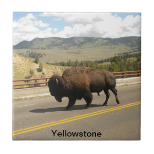 Den Yellowstone nationalparken belägger med tegel Kakelplatta