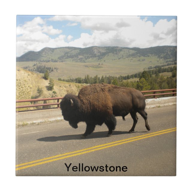 Den Yellowstone nationalparken belägger med tegel Kakelplatta (Framsidan)