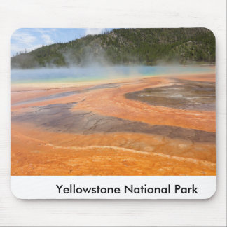 Den Yellowstone nationalparkmusen vadderar Musmatta