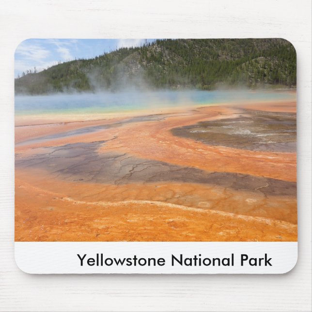 Den Yellowstone nationalparkmusen vadderar Musmatta (Framsidan)