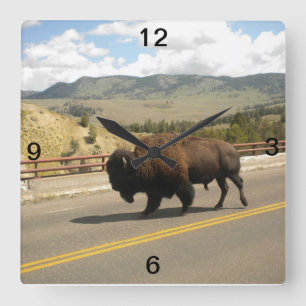 Den Yellowstone väggen tar tid på Fyrkantig Klocka