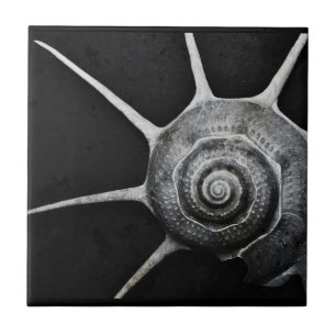 Den Yoka snäckan belägger med tegel Kakelplatta