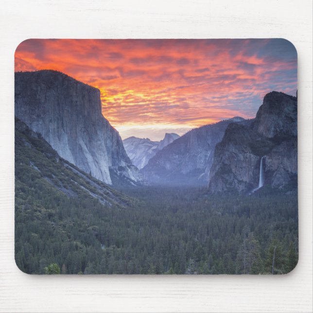 Den Yosemite tunnelen beskådar Musmatta (Framsidan)