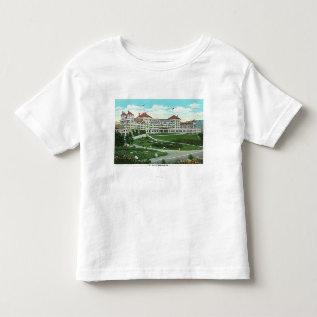 Den yttre närbilden beskådar av hotell för Mt. T Shirt (Framsida)