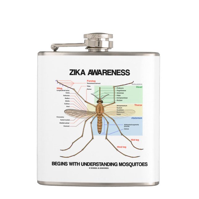 Den Zika medvetenheten börjar Fickplunta (Framsidan)