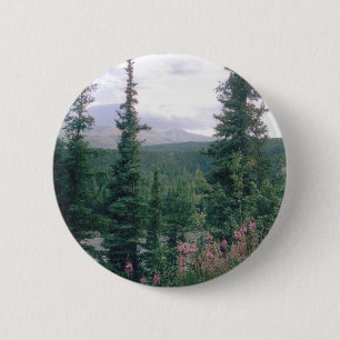 Denali- Alaska Knapp