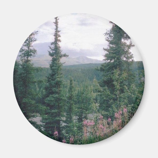 Denali-Alaska Magnet (Framsidan)