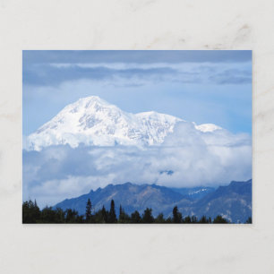 Denali Alaska Mountain Photo Vykort