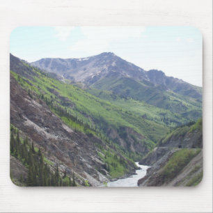 Denali Alaska Musmatta