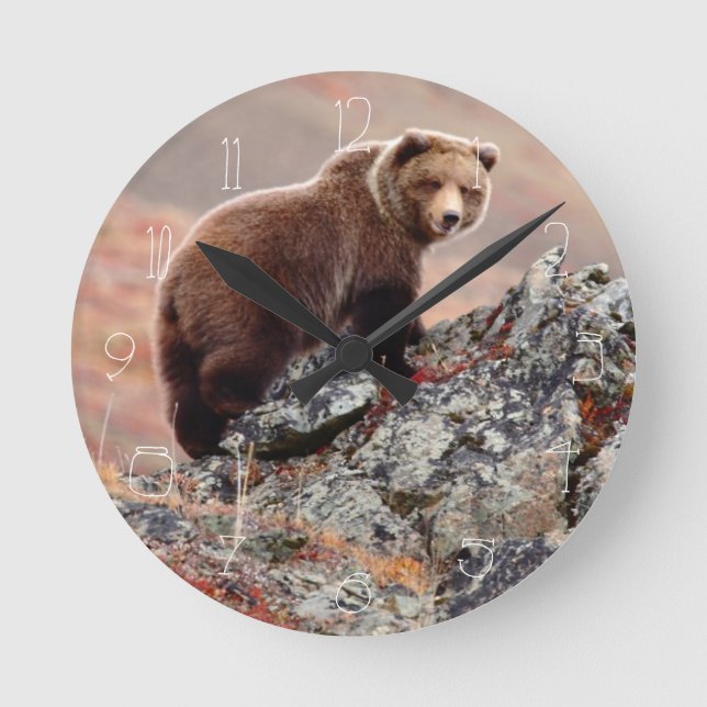 Denali Brown Bear Rund Klocka (Framsida)