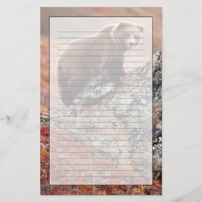 Denali bruntbjörn brevpapper (Framsida)
