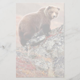 Denali bruntbjörn brevpapper
