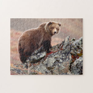 Denali bruntbjörn pussel