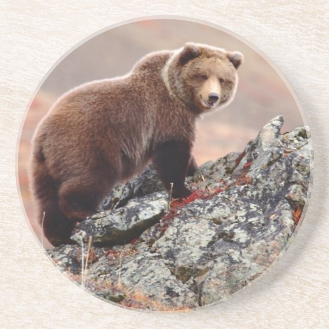 Denali bruntbjörn underlägg sandsten (Framsidan)