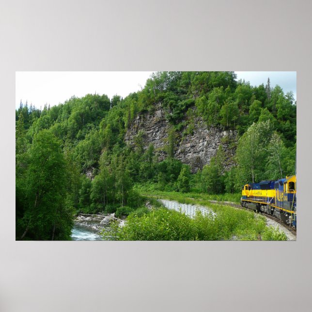 Denali Express Alaska Tåg Vacation Photography Poster (Framsidan)