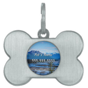 Denali Mountain Range Pet Namn bricka