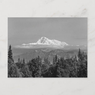 Denali (Mt. McKinley) Vykort
