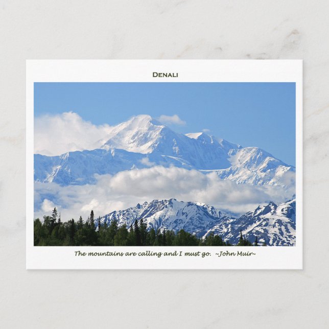 Denali/Mtns ringer-J Muir/med gräns Vykort (Framsida)