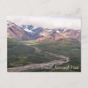 Denali National Park - Alaska vykort