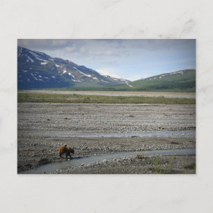 Denali National Park and Preserve, Alaska Vykort