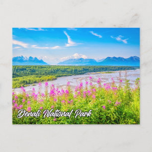 Denali National Park and Preserve, Alaska Vykort