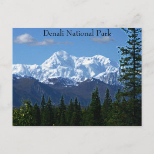 Denali National Park PostCard Vykort