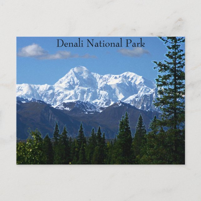 Denali National Park PostCard Vykort (Framsida)