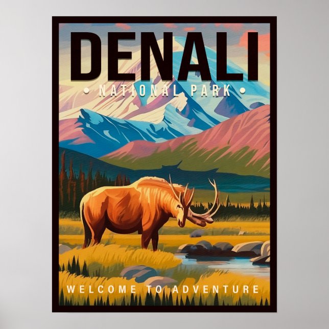 Denali Nationalpark Alaska Mountain Landcape Ski Poster (Framsidan)