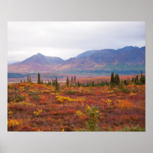 Denali nationalpark, Alaska på spanska hösten Poster