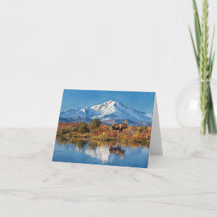 Denali nationalpark Alaska Watercolor Kort