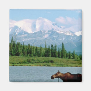 Denali nationalpark magnet