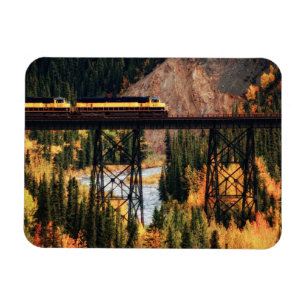 Denali nationalpark och sylt USA Alaska Magnet