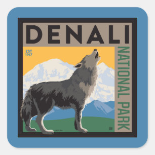 Denali nationalpark Varg för Howling Fyrkantigt Klistermärke