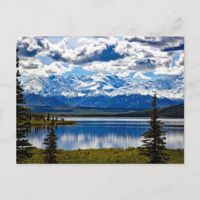 Denali nationalpark vykort (Framsida)