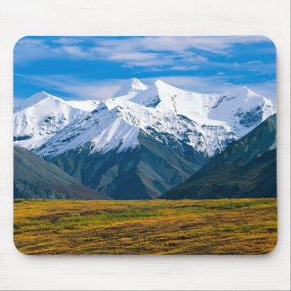 Denali nationalparkmousepad musmatta
