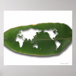 Denåt lövvärldskartan poster