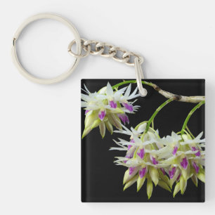 Dendrobium Ametystoglossum