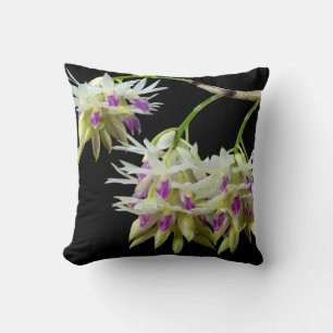 Dendrobium Ametystoglossum Kudde
