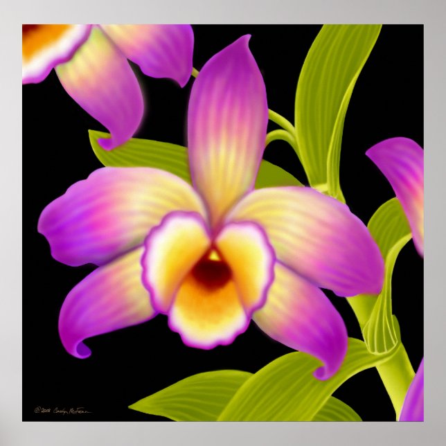Dendrobium Nobile Orchid Skriv ut Poster (Framsidan)